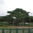 경기도박물관 이미지