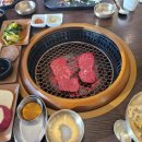 우미락 이미지