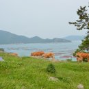 억대축산 이미지