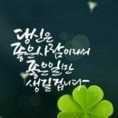 미소 행정사 이미지