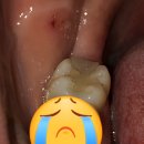 테크노수플란트치과의원 이미지