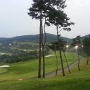 양산CC 경향신문