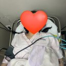 더블유(W)왁싱뷰티크 | 광주 더블유여성병원 제왕절개 솔직후기 (1인실 입원)