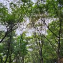 우장산공원길 이미지