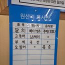 중앙2길 | [충남 공주] 유구읍 맛집, '어부나라 생선구이 돌솥밥 공주유구본점' 솔직 방문 후기!