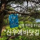 바우길 8구간 이미지
