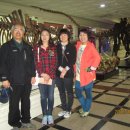 중원대학교박물관 이미지