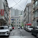 맘모스세탁소 | 창원 도계동 카페 케이크 맛집 호호하우스 베이커리