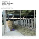 (주)쌍용에프엔씨 이미지