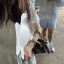 (주)삼일여행 이미지