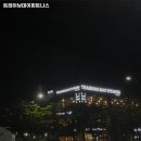 트레이닝데이 피트니스 이미지