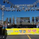 2016년10월30일 제15회 벌교꼬막축제 공연 " 벌교공공도서관 어린이 발리댄스팀의 모습" 이미지