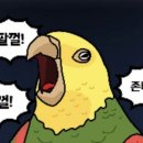 논탄토 신촌점 이미지