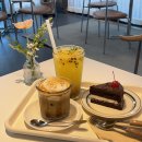 놀커피(Knoll coffee)