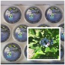 거창-고제-6 이미지