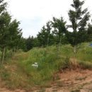 은해 농장 이미지