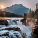 파크필드 이미지