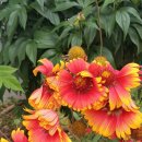 중앙메디칼보청기 이미지