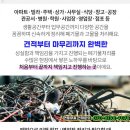 한일장여관 이미지
