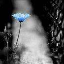 터닝포인트 이미지