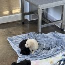 새나리로38번길 이미지