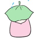 솔비알 이미지