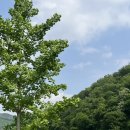서울 근교 프라이빗 글램핑장 네이스트 프라이빗 음성 N02 솔직후기