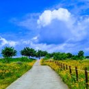 팔레트(대산) - 174562 | 팔레트(대산)