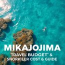 Y GYM FITNESS | "바다색 미쳤다!" 미야코지마 여행 경비 총정리! 스노클링 비용 현실 분석, 확률 높은 포인트와 예약...