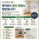 하나지업사 - 순천시 남산로 157 | 익산 곰팡이 전문 업체. 단독주택 곰팡이 제거와 규조토 시공 후기