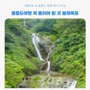 울릉도 관광 꼭 가봐야 할 봉래폭포 소요시간 및 방문기
