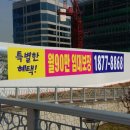 하늘출력 이미지