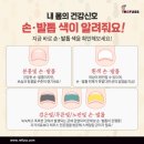 레푸스전주 이미지