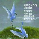 단양의아침 이미지