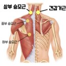 미니휘트니스3 이미지