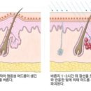 바른빛에너지 이미지