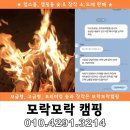 장작과 벌목 | 대부도 장작 파는곳 품질테스트와 실제후기 소개