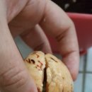 발화농장 이미지