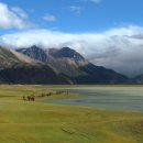 우리지금여기 이미지