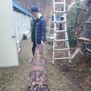 ~~~주말조황 ~~~ 이번주말 굿 조황~~~ 이미지