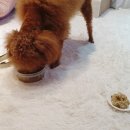 솜바지 다과점 이미지