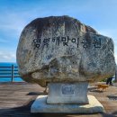 영덕가볼만한곳 영덕해맞이공원과 창포말등대 여행(25년1월)