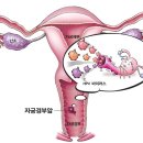 경부