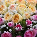 지엑스월드 이미지