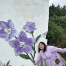 신안군관광협의회안좌퍼플교지점 이미지