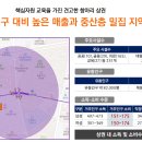 펠리시티 이미지