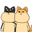 앤드수수