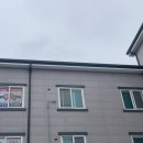 셀파미장초교실