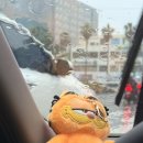 에이스카 | 제주 공항 렌트카 에이스 제주도 렌트카 자차 근처 비용