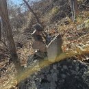 영일시장 이미지